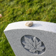 Illustration for article titled 2018 Remembrance Day at Mountain View Cemetery